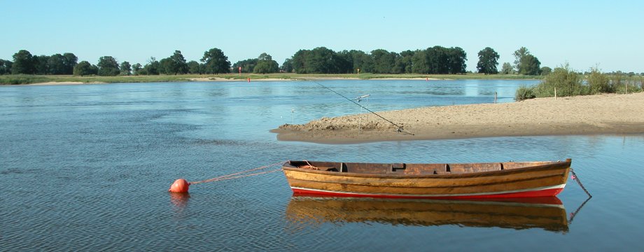 Urlaubsregion Höhbeck Elbe - Titelbild: Ruderboot aus Holz in einer Buhne auf der Elbe, gesichert mit einer roten Boje.