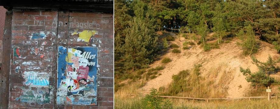 Urlaubsregion Höhbeck Elbe - Titelbild: Heidberg (Sandberg mit Heidepflanzen, Birken und Nadelbäumen). Zweites Bild: Alte Plakat-Anschlagstelle an einem Schuppen in Vietze.